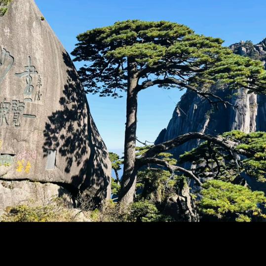 烩面大姐