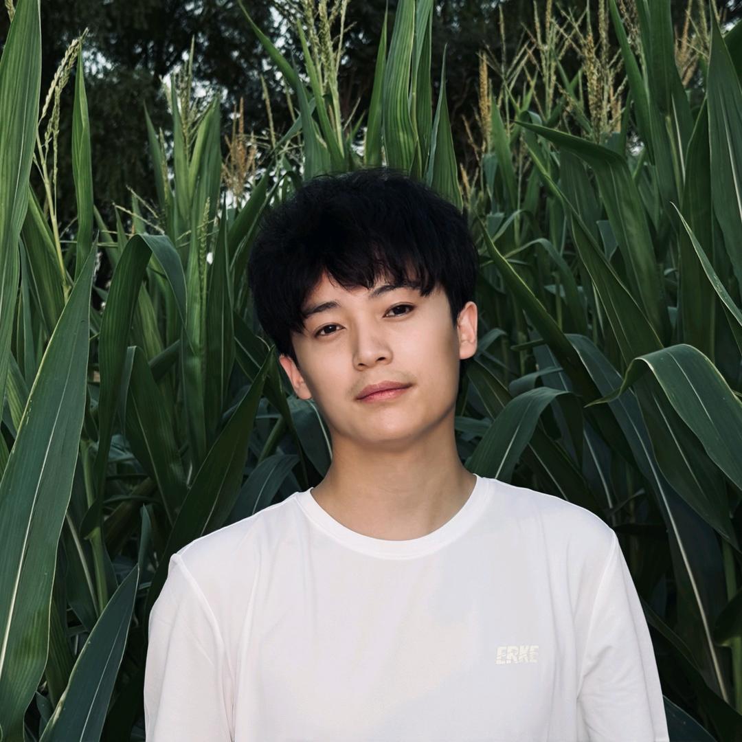 卷毛小狗