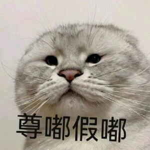 顺顺利利🌳🌊❤️