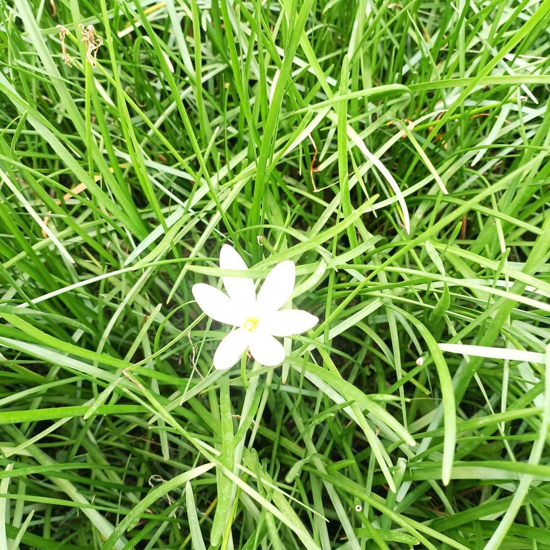 天空123456（退网了）