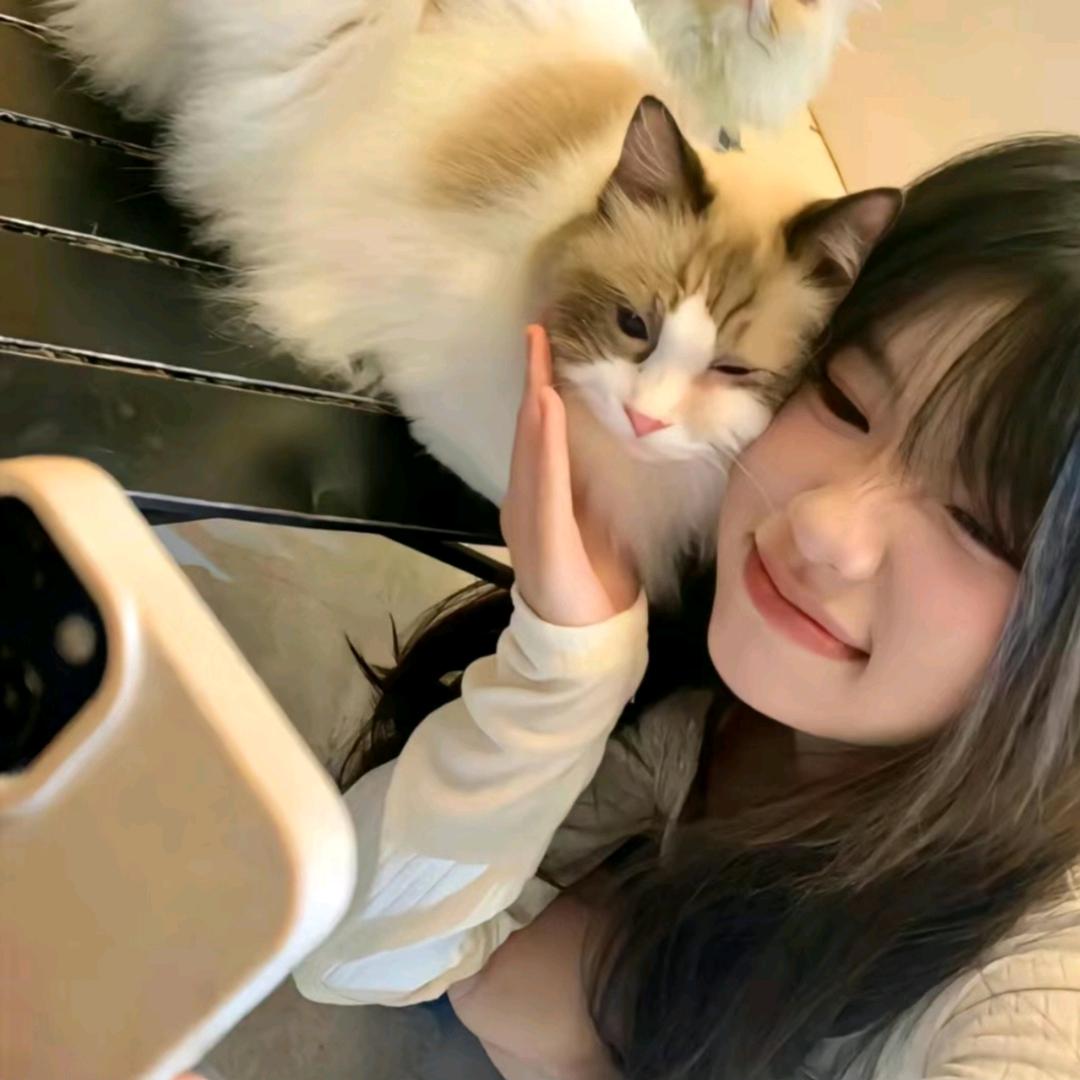 .美宝