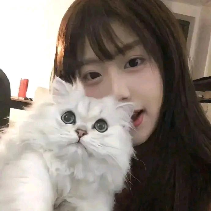 明黛