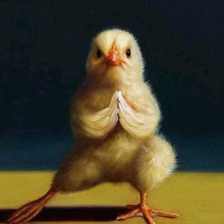 大海禽业-张文策