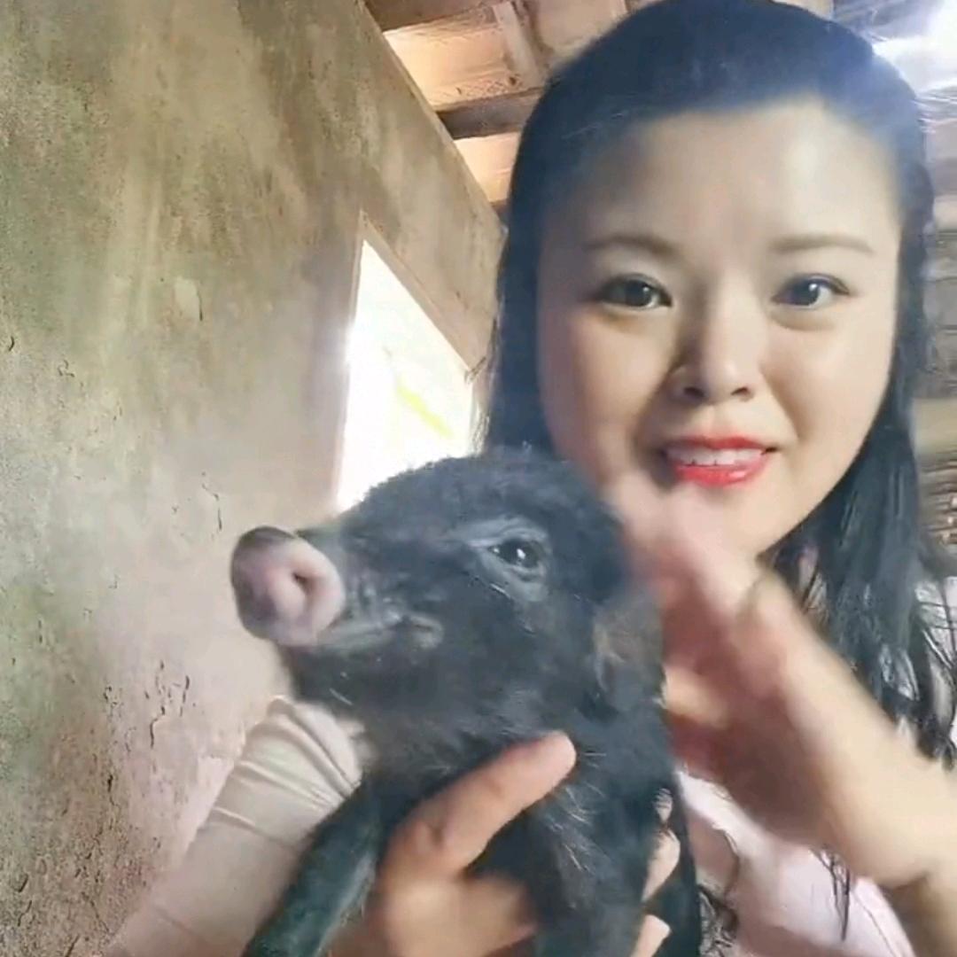 渠县绿牧兴生态农场