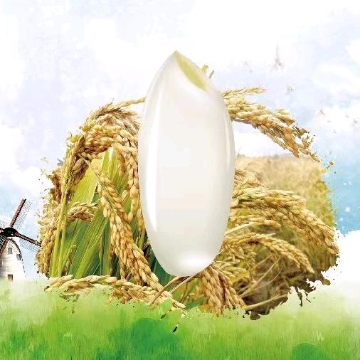 江苏新高塬生物科技有限公司