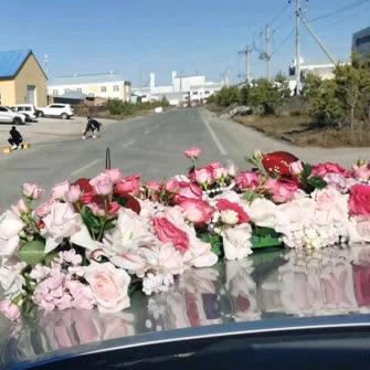 晓鸿