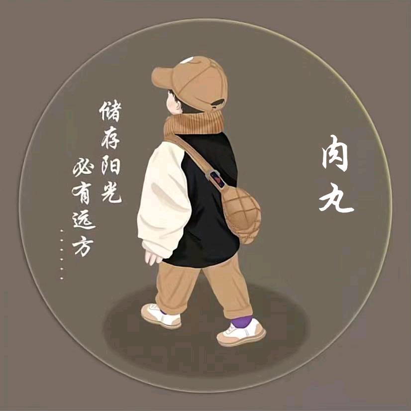 快乐的肉丸子