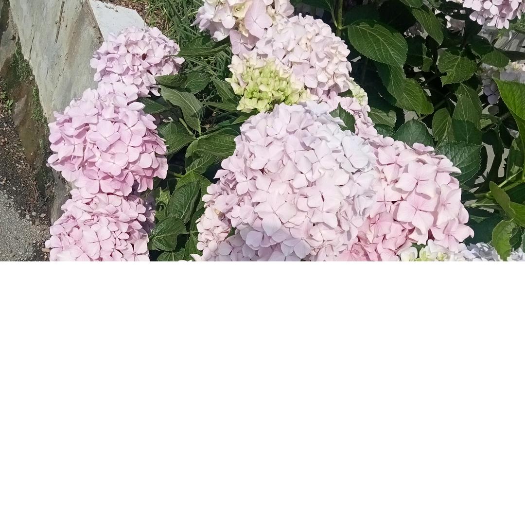 一生幸福邓三姐