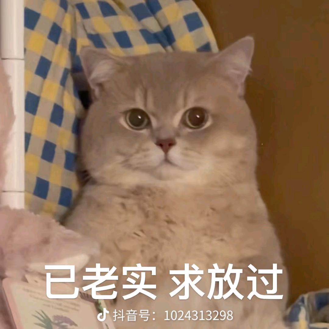 ，，，