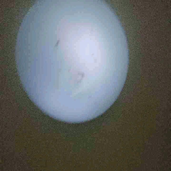 一帆风顺666