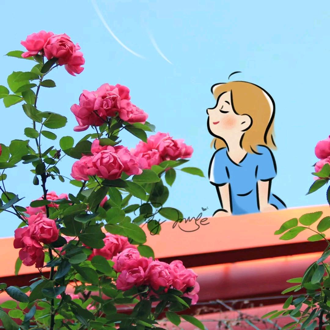 米曼哆
