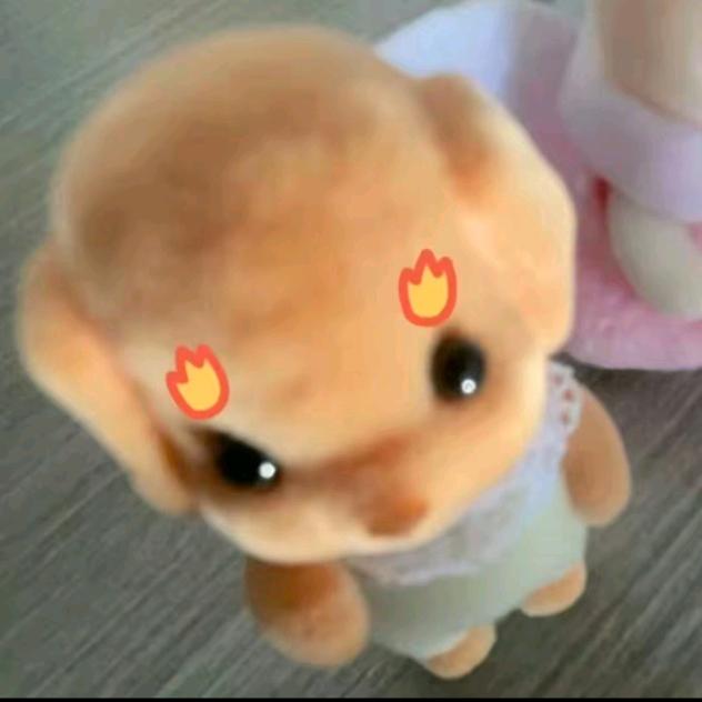 等登登登登