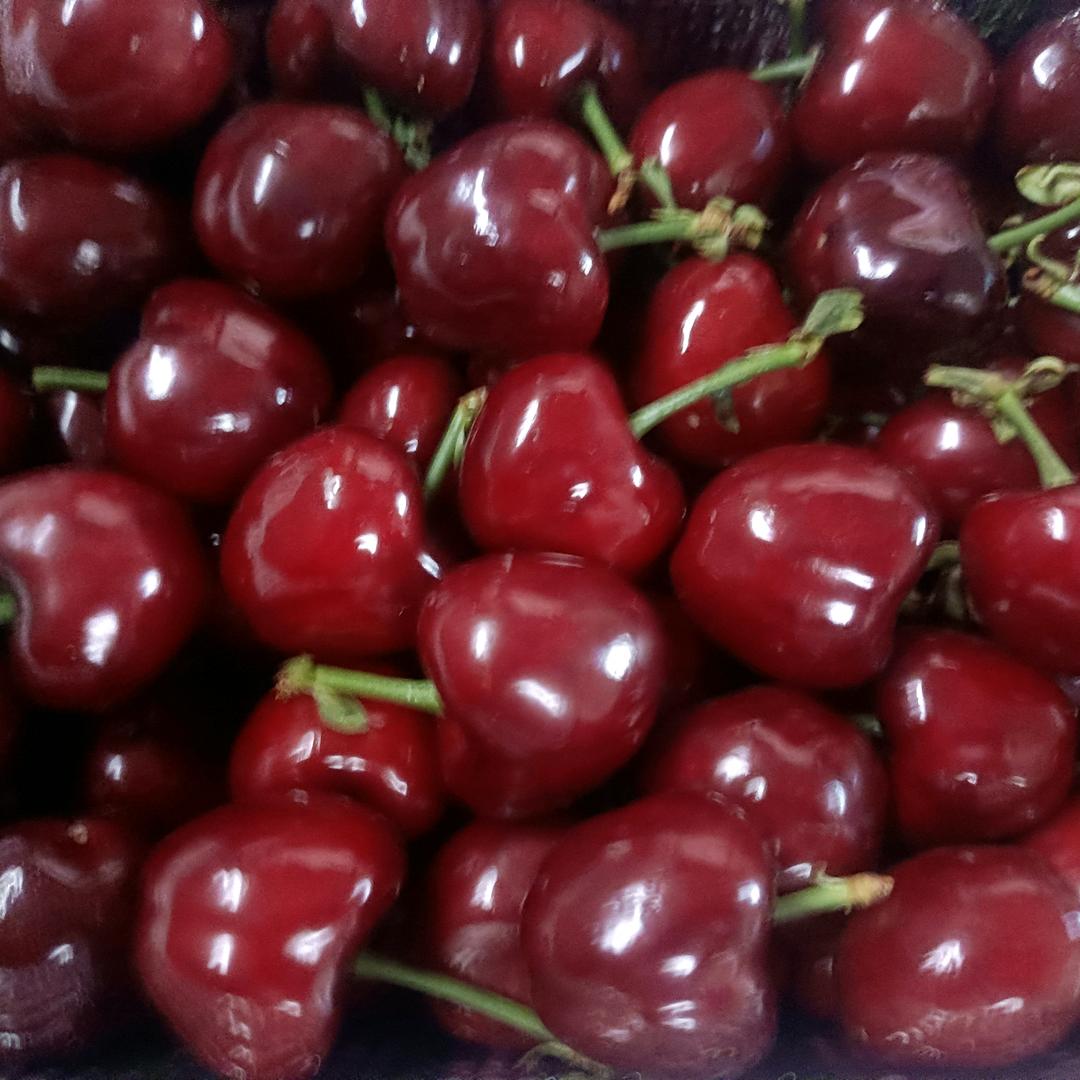 栖霞🍒🍒燕姐