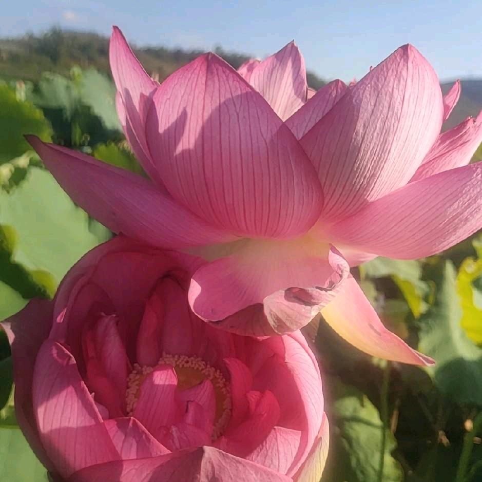 好人不跟坏人抖