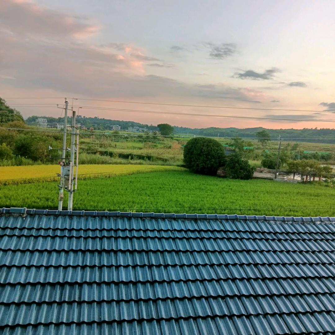 天🌾稻🌾酬钱🇻🇳