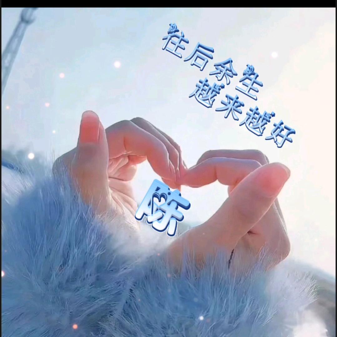 陈家姑娘（橱窗有好物）