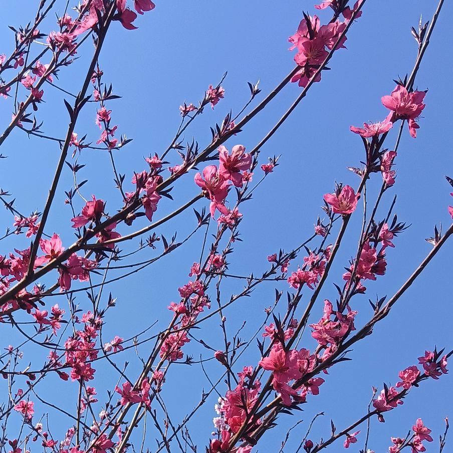 温暖的阳光