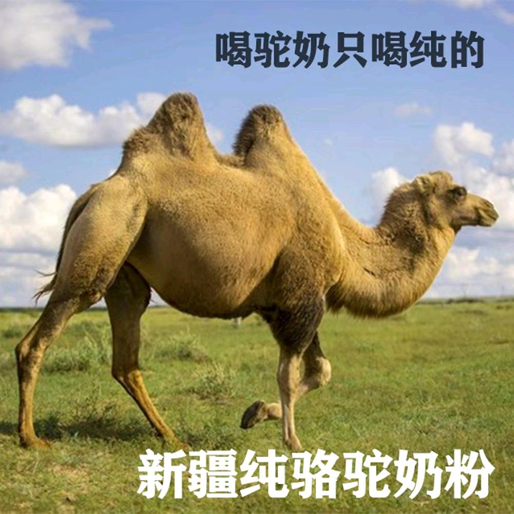 新疆驼奶璟喆店