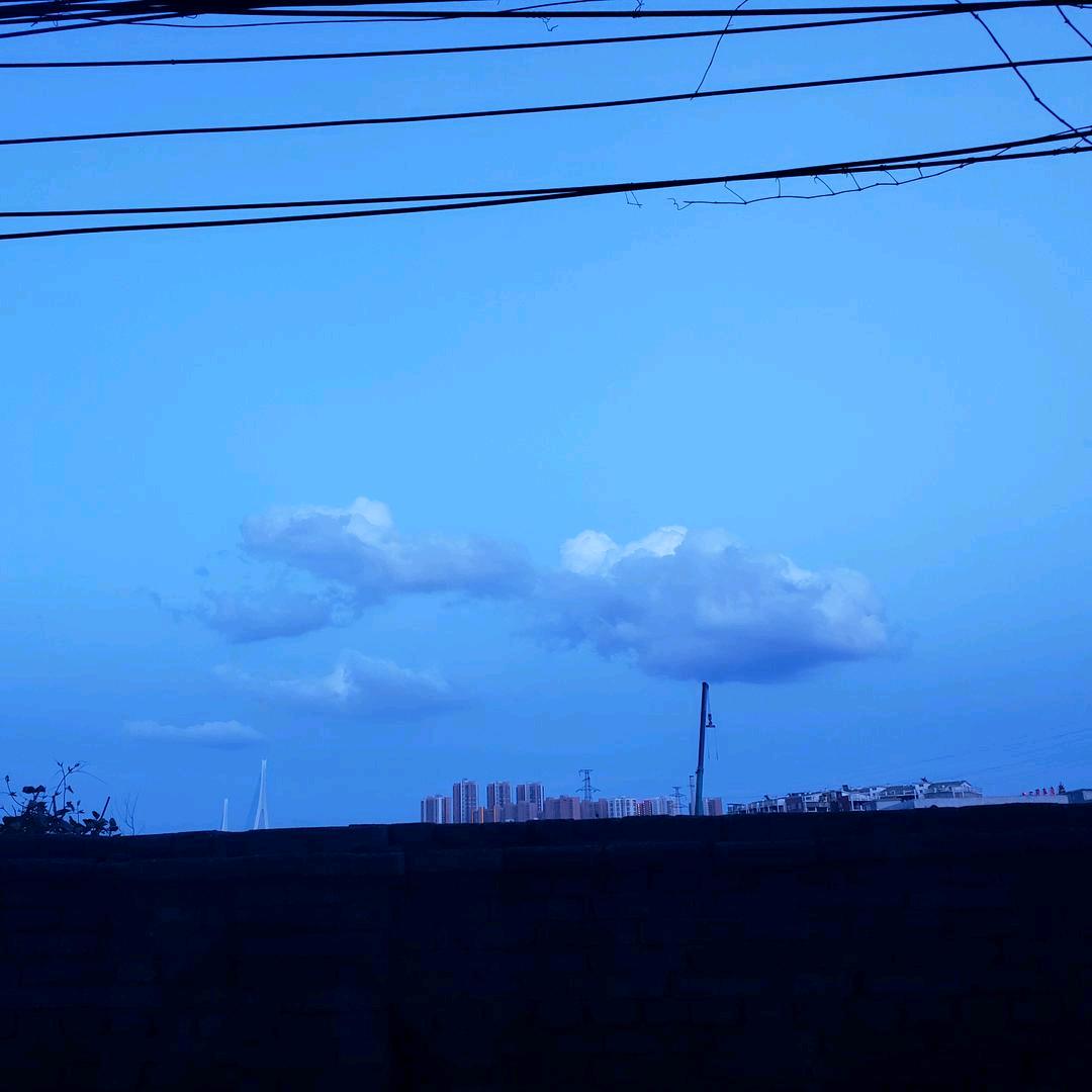 萚兮