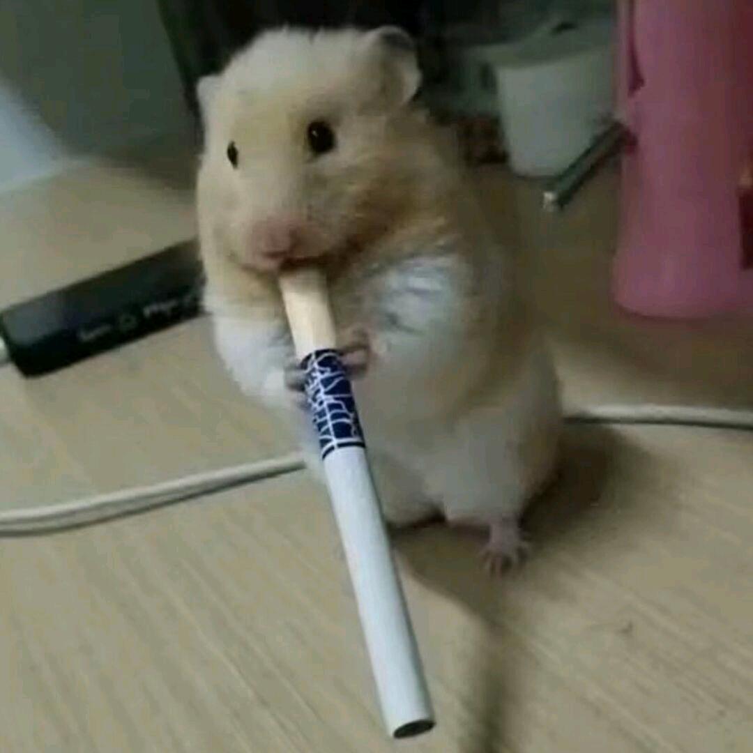 叁分支壹