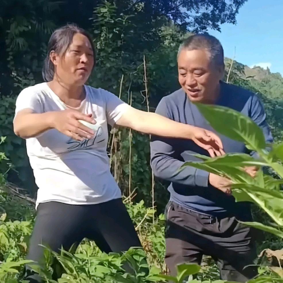 彝良县简富国市集林业物资店