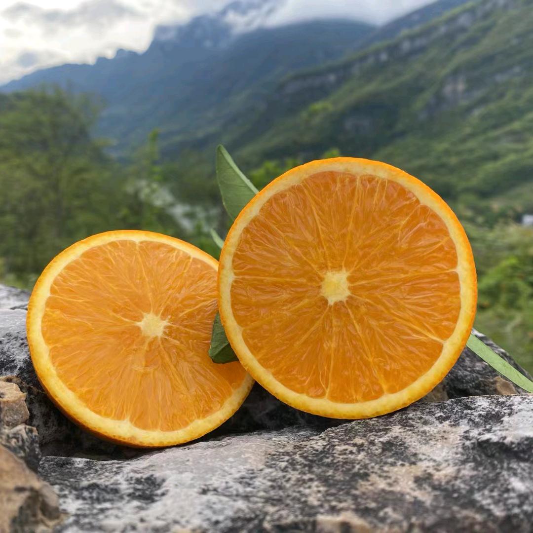 巴东县泰格销售部