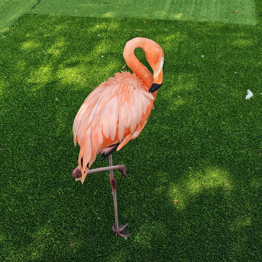 ꕥ᭄王权💞富贵ꦿᩚ࿐