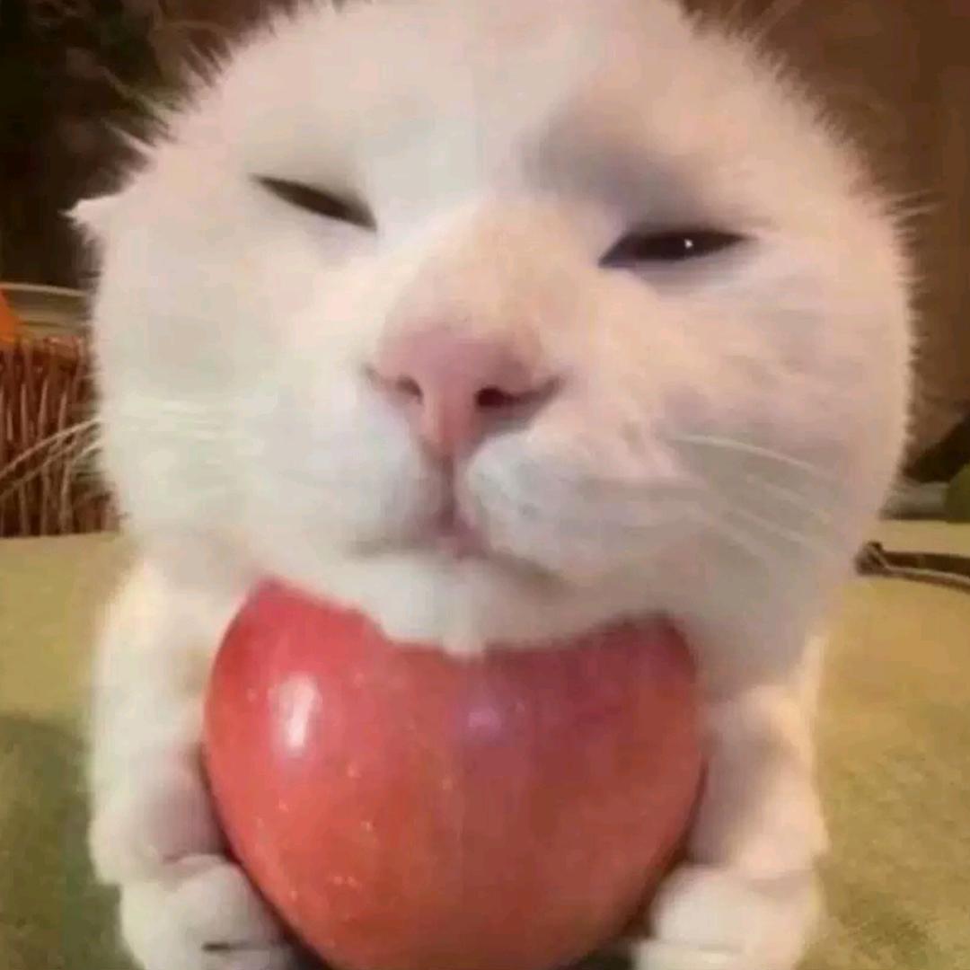 阿洛^