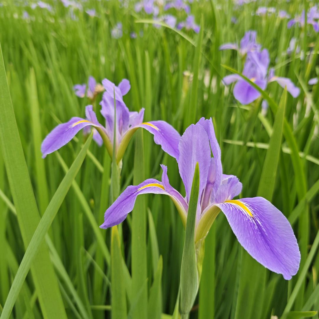 中山印刷厂