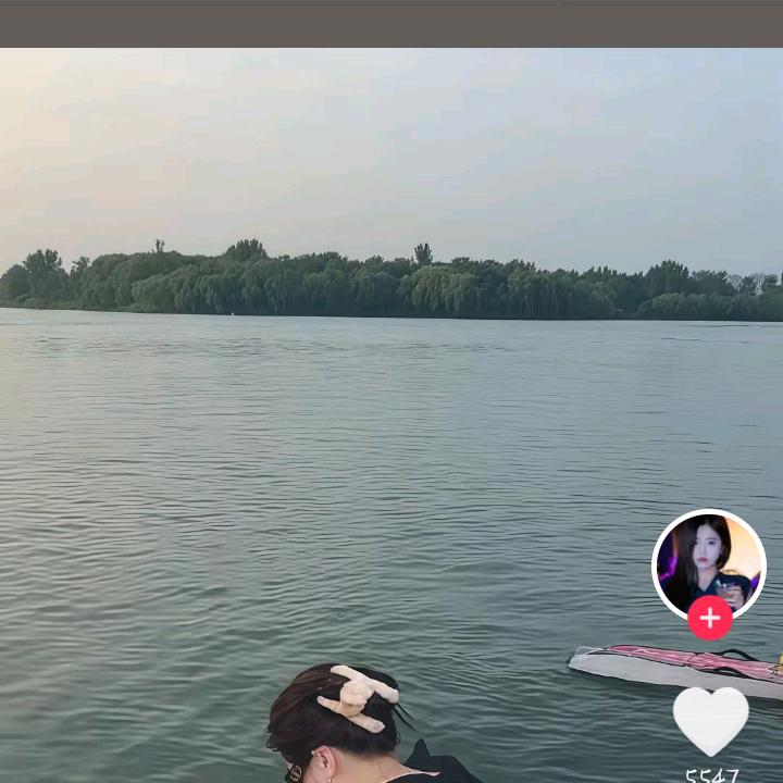丹顶鹤