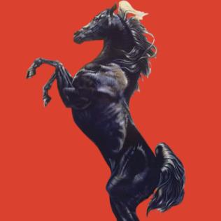 蒙古悍匪_战马越野