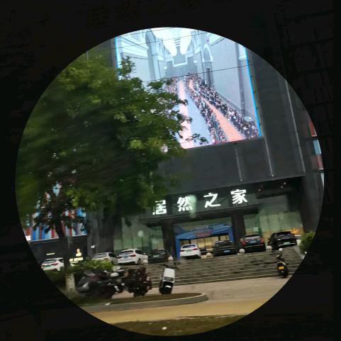 独自屹立