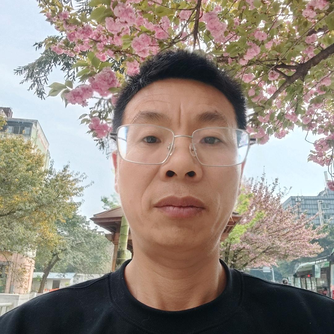 雨后的太阳