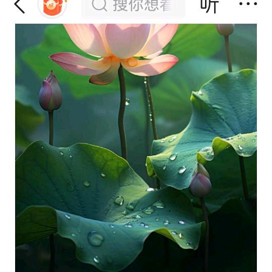 惠姐百货