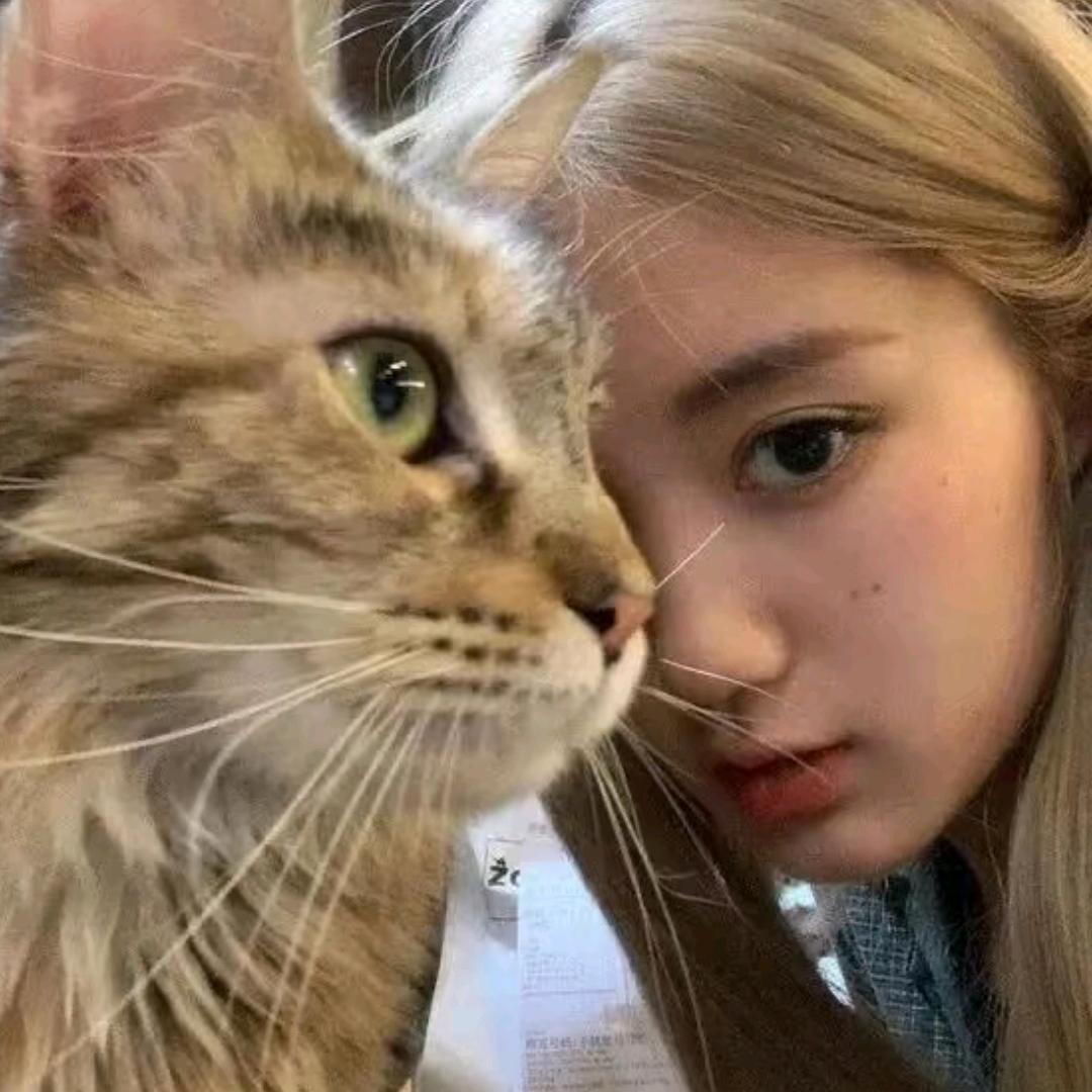 小猫碎碎念⌯'Ⱉ'⌯
