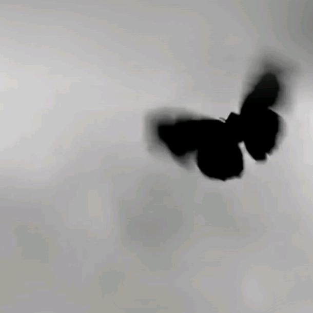大柔