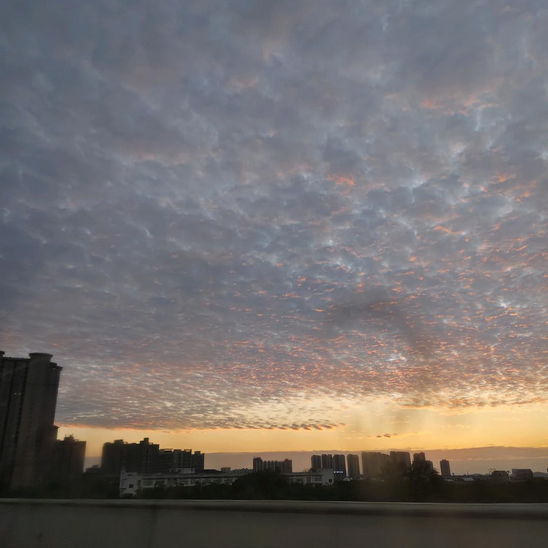少帅奶奶