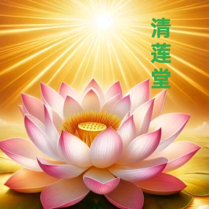 清莲堂（拒闲聊）