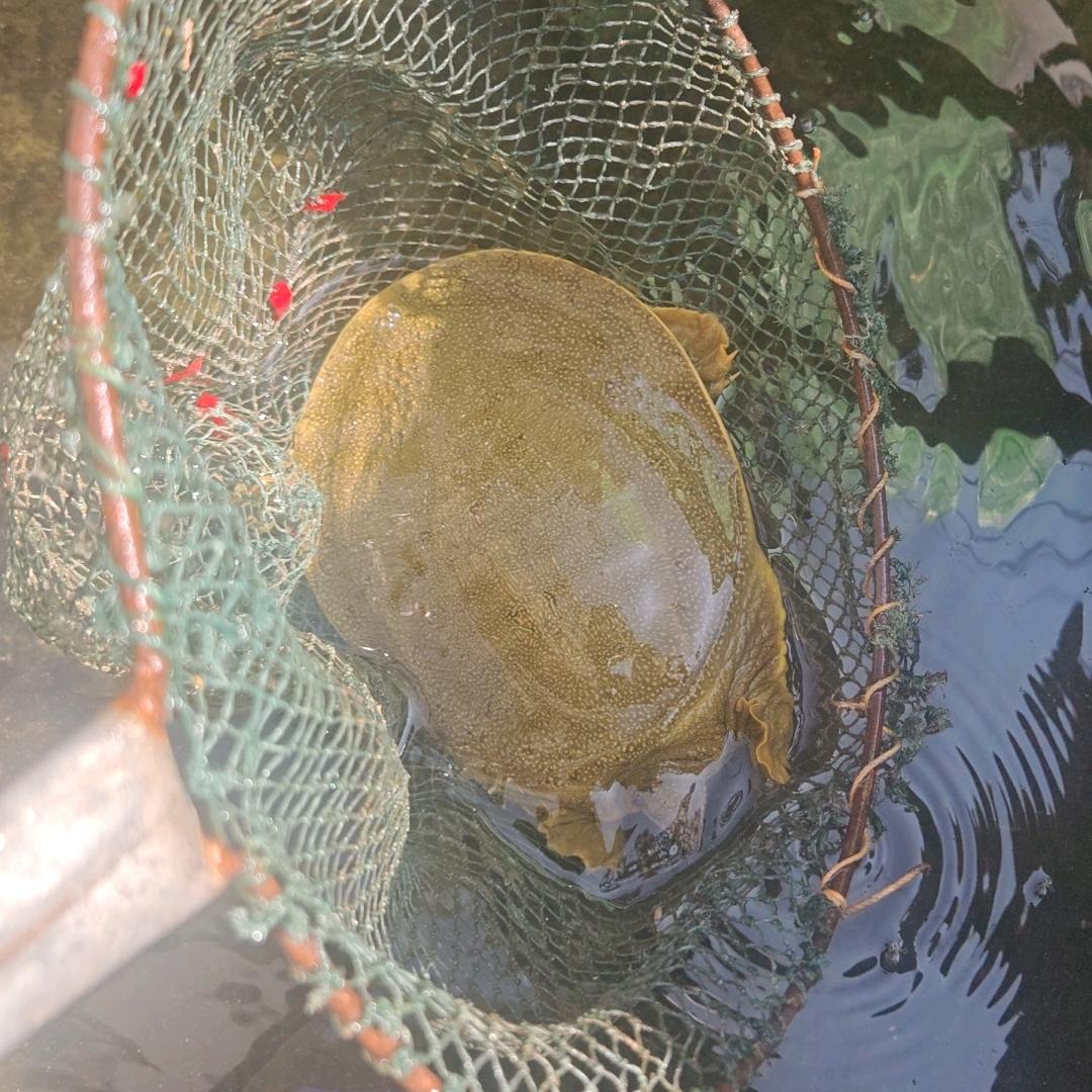 户外尚彪🦀