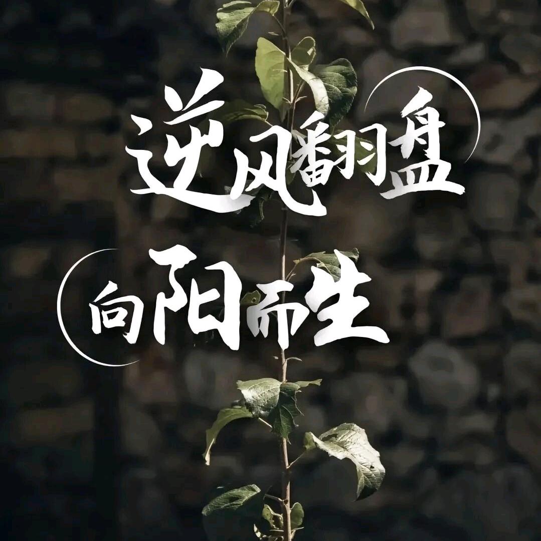 后来大雁南飞
