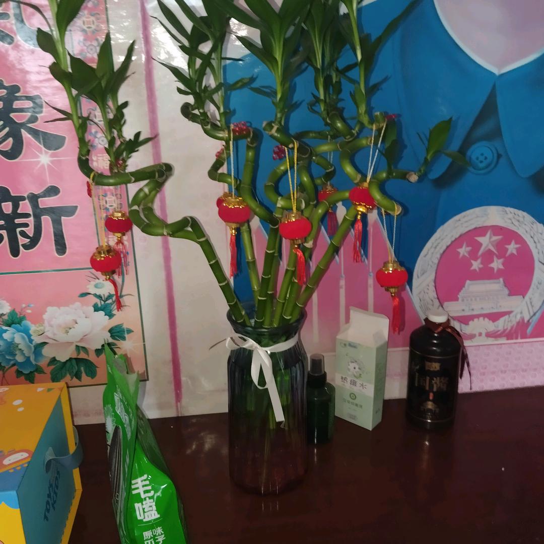 老程