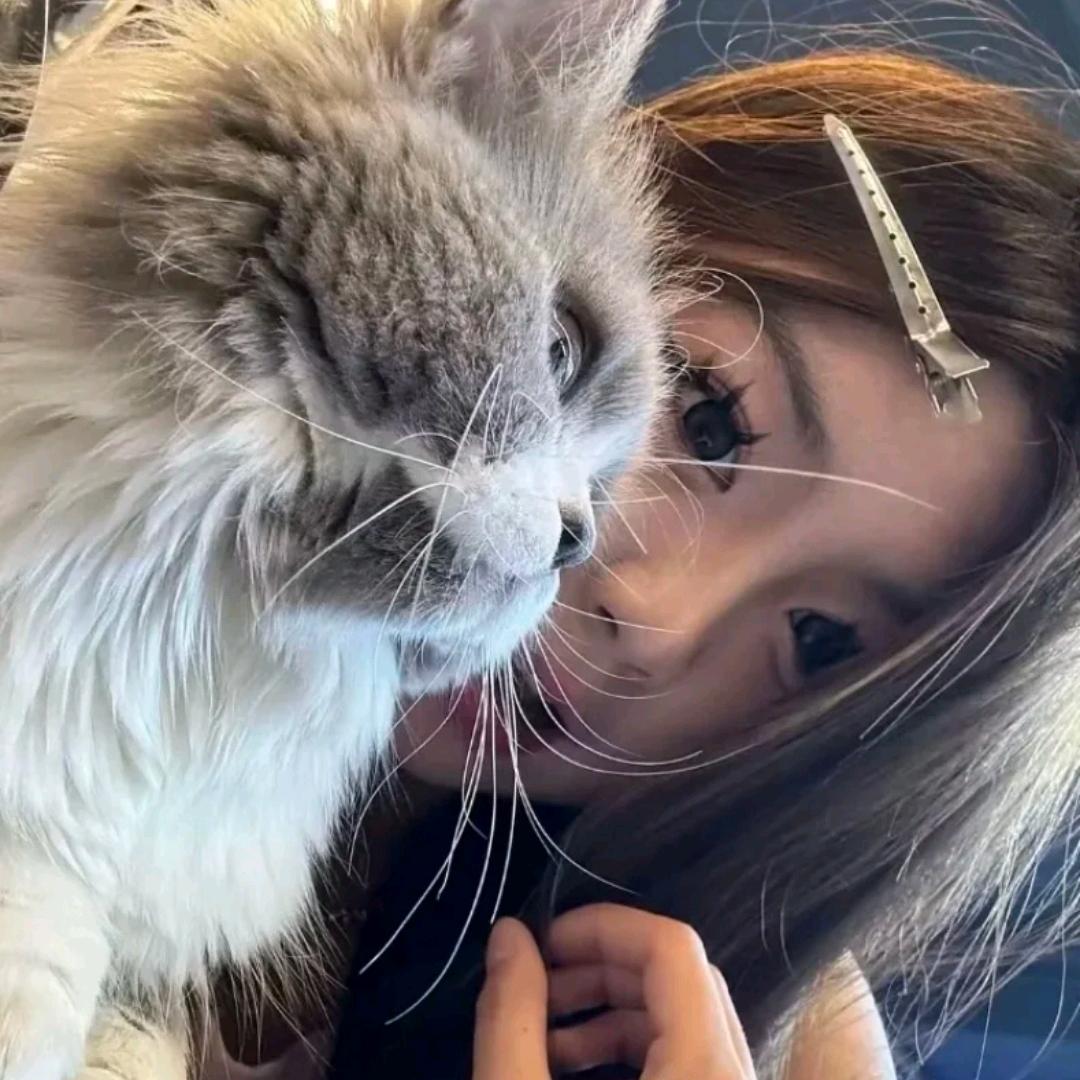 DOO👁️