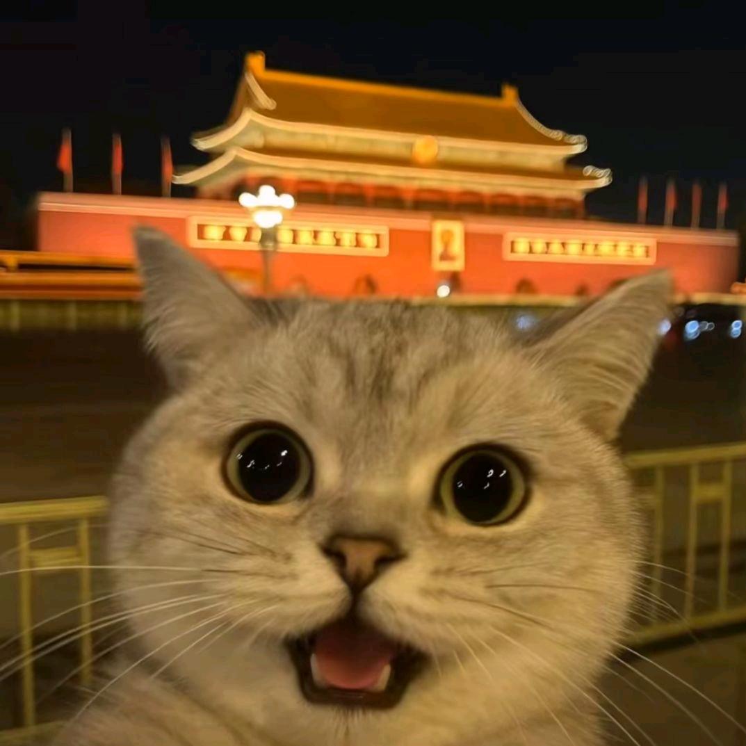 春风思慕雪山茶