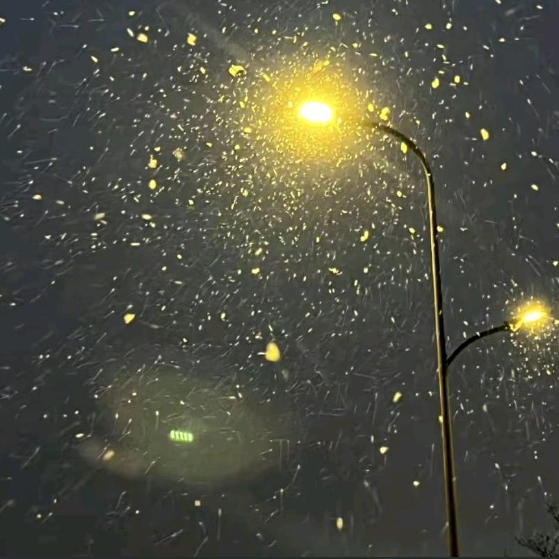 ～