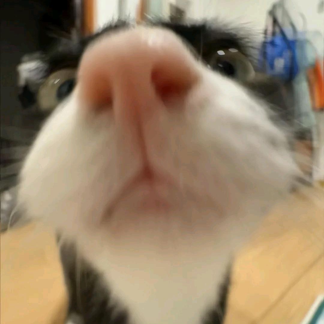 重生之我在元宇宙捡垃圾但捡到爱情