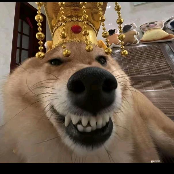 只要开始，虽晚不迟。