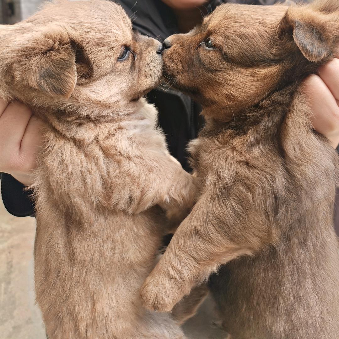 在明港助听器门店