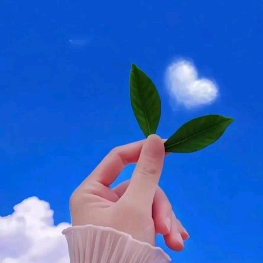清风明月