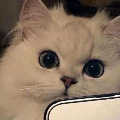 Cc.～