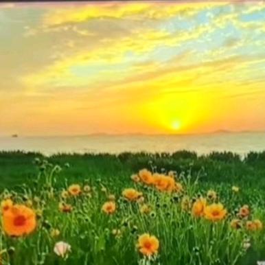 小李🌺剪辑